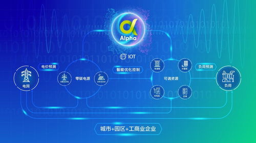 能源运营赋能，让千行百业降费节碳——胡江论公共资源交易技术服务的绿色变革